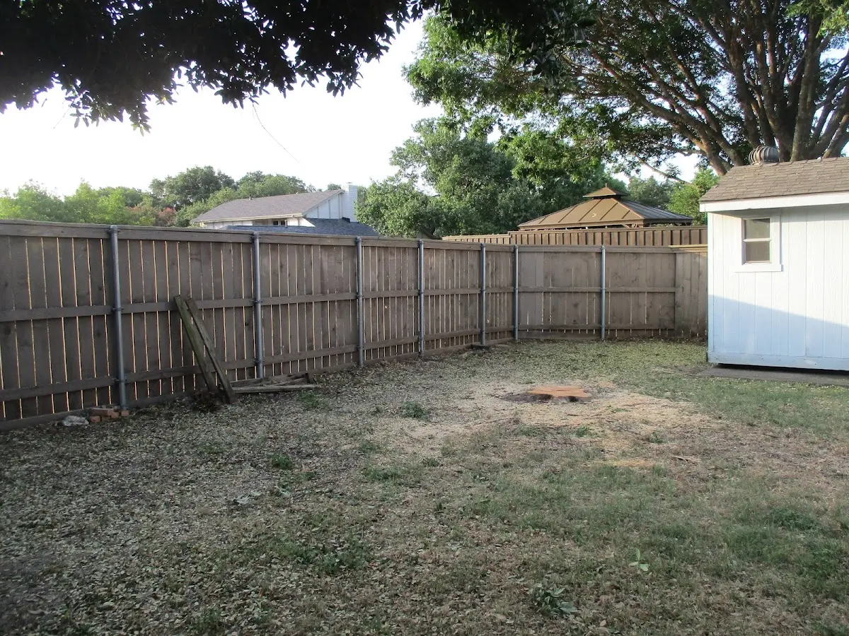 Cleared yard after professional tree removal in Dresden